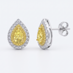 Pear Shape Natural Fancy Yellow Diamond Halo Studs WG 2