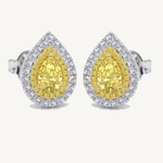 Pear Shape Natural Fancy Yellow Diamond Halo Studs
