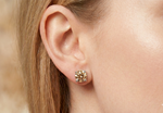 Natural Chocolate Champagne Diamond Round Studs White